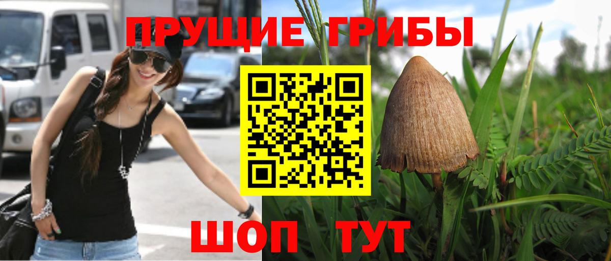 Псилоцибиновые грибы прущие грибы  даркнет сайт  Азов  Вход с VPN 